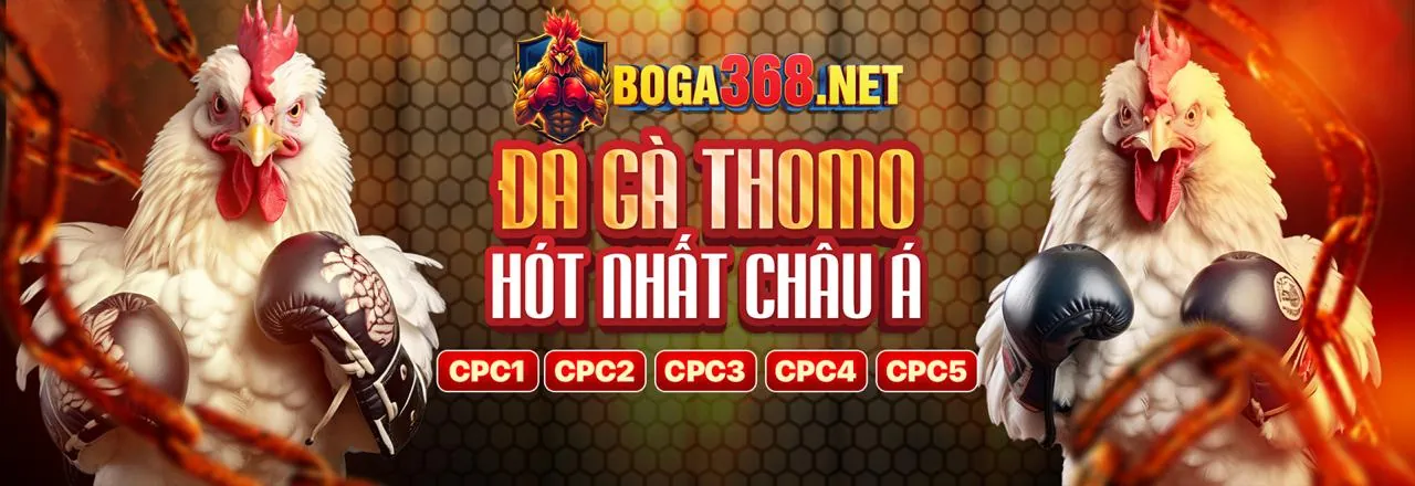 Đá Gà Trực Tuyến qh235 win 2026