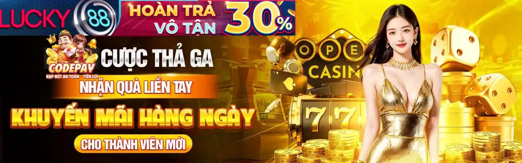 Phương thức thanh toán và bảo mật qh235 win
